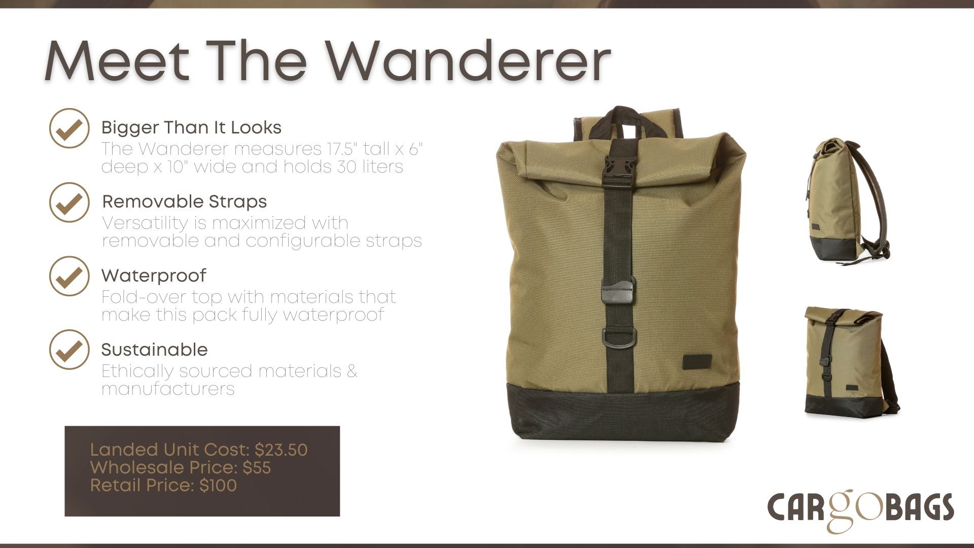 Features Section of Pitch Deck: CarGoBags - Product Slide