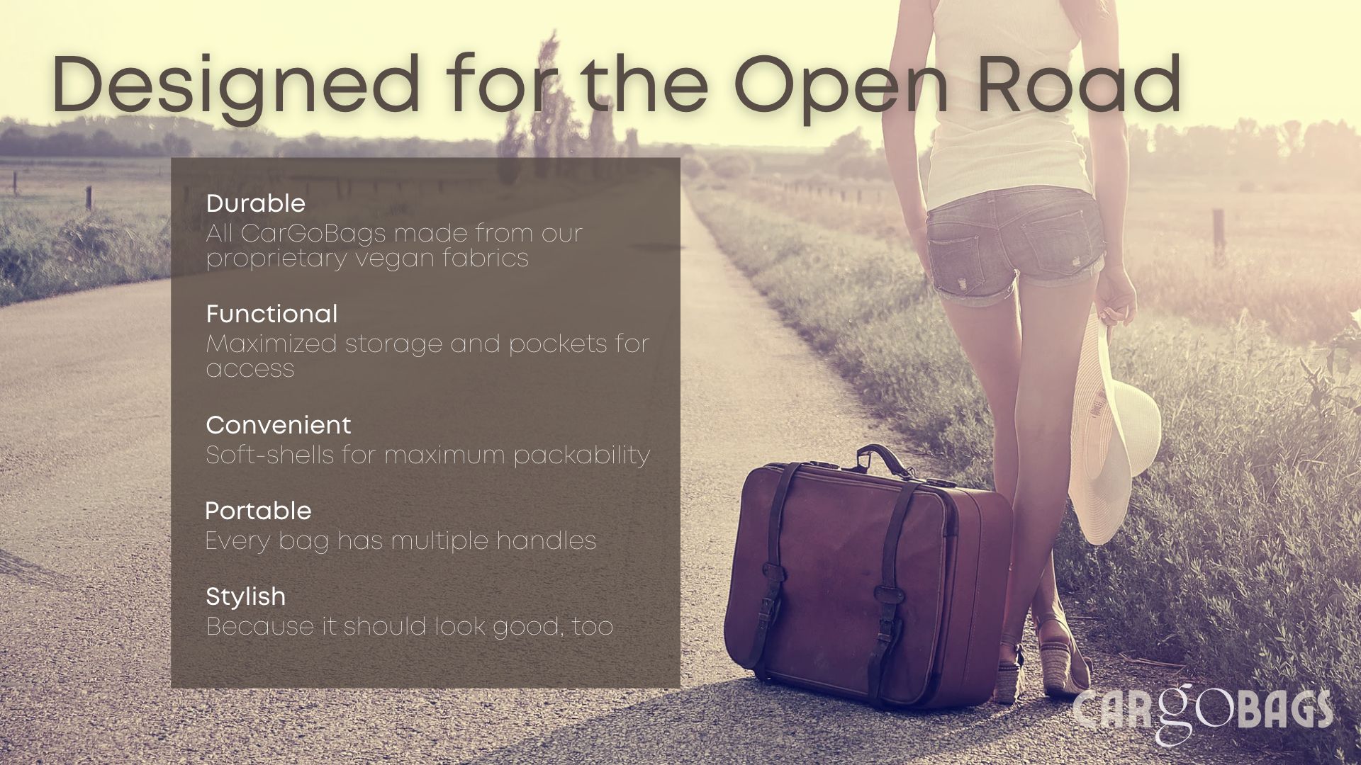 Features Section of Pitch Deck: CarGoBags Formatted List